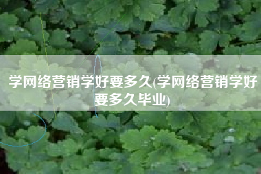 学网络营销学好要多久(学网络营销学好要多久毕业)