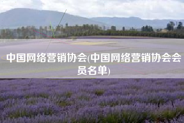 中国网络营销协会(中国网络营销协会会员名单)