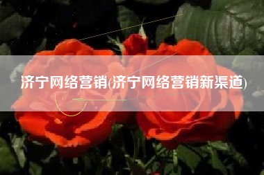 济宁网络营销(济宁网络营销新渠道)