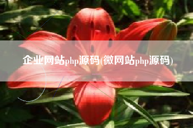 企业网站php源码(微网站php源码)