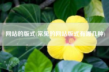 网站的版式(常见的网站版式有哪几种)