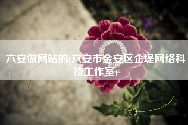 六安做网站的(六安市金安区企堤网络科技工作室)