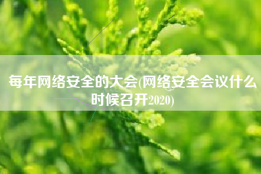 每年网络安全的大会(网络安全会议什么时候召开2020)