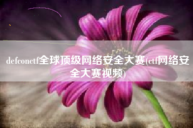 defconctf全球顶级网络安全大赛(ctf网络安全大赛视频)