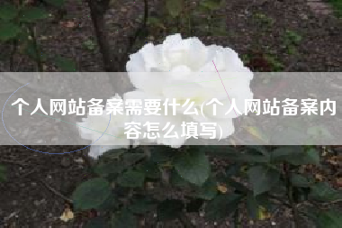 个人网站备案需要什么(个人网站备案内容怎么填写)