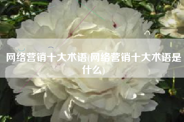 网络营销十大术语(网络营销十大术语是什么)