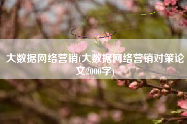 大数据网络营销(大数据网络营销对策论文2000字)
