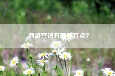 网络营销有哪些特点？