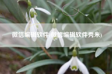微信编辑软件(微信编辑软件秀米)