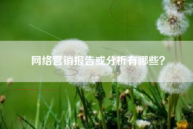 网络营销报告或分析有哪些？