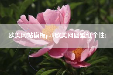 欧美网站模板psd(欧美网图壁纸个性)