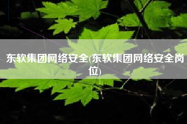 东软集团网络安全(东软集团网络安全岗位)