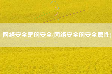 网络安全是的安全(网络安全的安全属性)