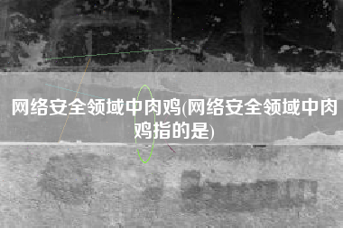 网络安全领域中肉鸡(网络安全领域中肉鸡指的是)