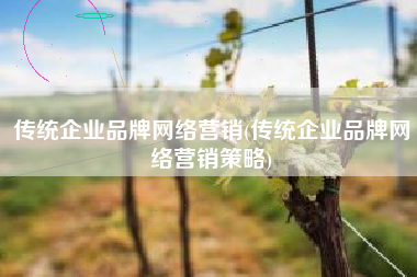 传统企业品牌网络营销(传统企业品牌网络营销策略)