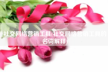 社交网络营销工具(社交网络营销工具的名词解释)