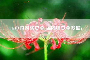 idc中国网络安全(idc网络安全发展)