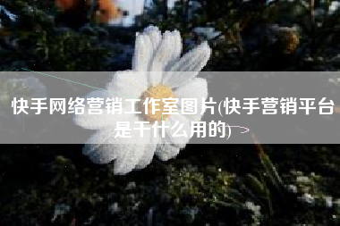 快手网络营销工作室图片(快手营销平台是干什么用的)