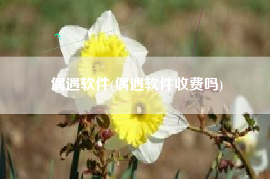 偶遇软件(偶遇软件收费吗)