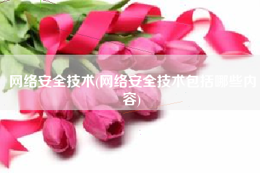 网络安全技术(网络安全技术包括哪些内容)