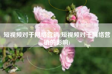 短视频对于网络营销(短视频对于网络营销的影响)