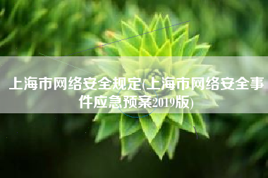 上海市网络安全规定(上海市网络安全事件应急预案2019版)