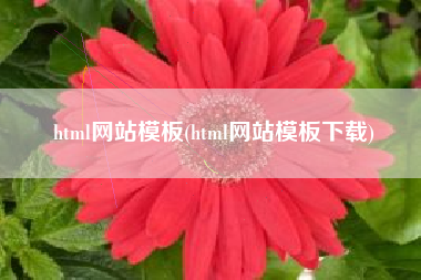 html网站模板(html网站模板下载)
