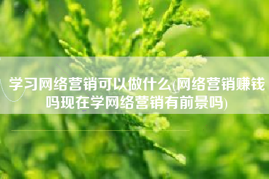学习网络营销可以做什么(网络营销赚钱吗现在学网络营销有前景吗)