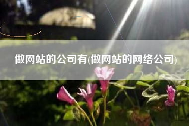 做网站的公司有(做网站的网络公司)