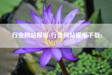 行业网站模板(行业网站模板下载)