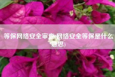 等保网络安全审查(网络安全等保是什么意思)