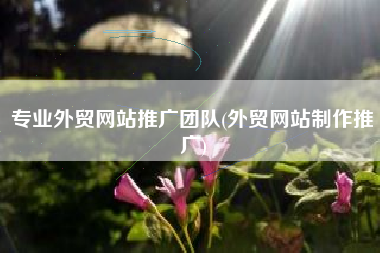 专业外贸网站推广团队(外贸网站制作推广)