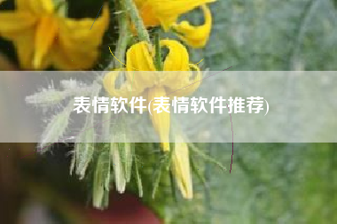 表情软件(表情软件推荐)