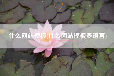 什么网站模板(什么网站模板多语言)