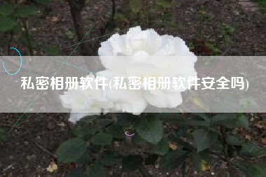 私密相册软件(私密相册软件安全吗)