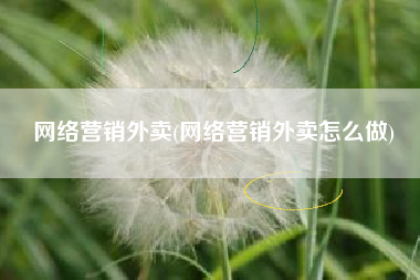 网络营销外卖(网络营销外卖怎么做)