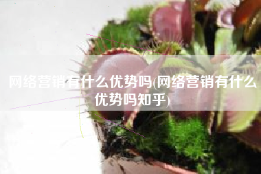 网络营销有什么优势吗(网络营销有什么优势吗知乎)