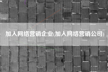 加入网络营销企业(加入网络营销公司)