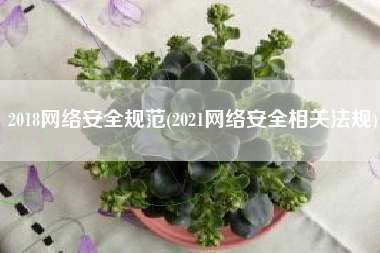 2018网络安全规范(2021网络安全相关法规)
