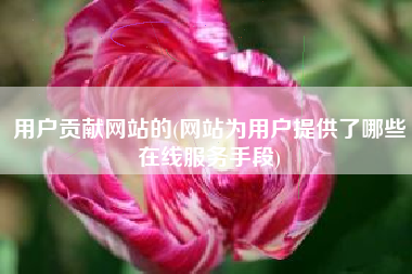 用户贡献网站的(网站为用户提供了哪些在线服务手段)