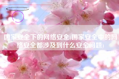 国家安全下的网络安全(国家安全中的网络安全都涉及到什么安全问题)