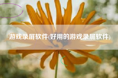 游戏录屏软件(好用的游戏录屏软件)