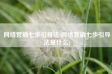 网络营销七步引导法(网络营销七步引导法是什么)
