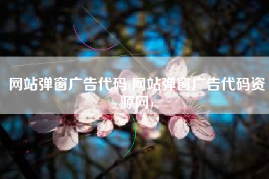 网站弹窗广告代码(网站弹窗广告代码资源网)