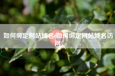 如何绑定网站域名(如何绑定网站域名访问)