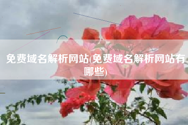 免费域名解析网站(免费域名解析网站有哪些)