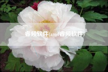 睿频软件(amd睿频软件)