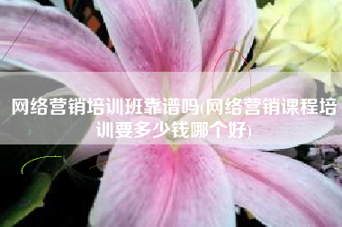 网络营销培训班靠谱吗(网络营销课程培训要多少钱哪个好)