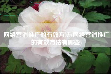 网络营销推广的有效方法(网络营销推广的有效方法有哪些)