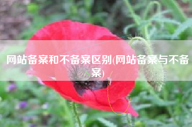 网站备案和不备案区别(网站备案与不备案)